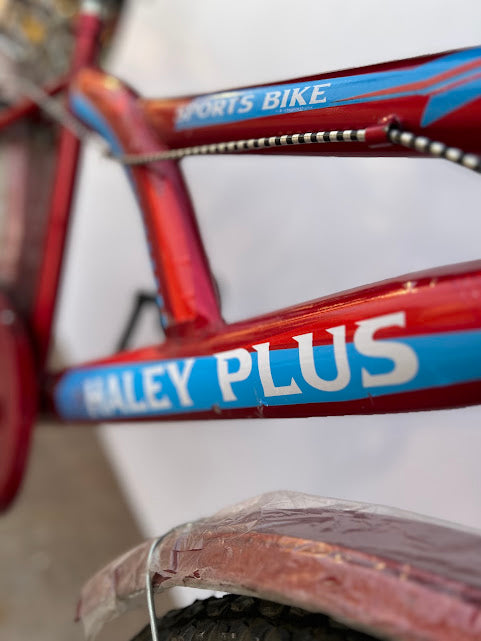 Cyclistan.pk Harley Plus 26β High-Quality Road Bicycle Beautiful Design, Sports Cycle, Dual Brakes, Spoke Rim, Without Gears β Ideal for Adults & Kids (Age 10β60+)
